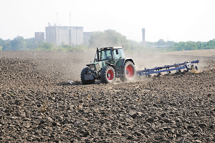 Укрупнення та об’єднання земельних паїв дає можливість ефективніше використовувати сільгоспугіддя. Фото Oлександра ЛЕПЕТУХИ