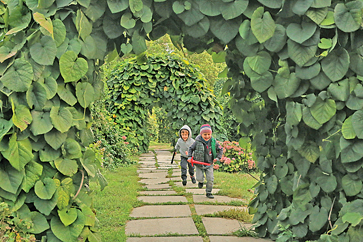 Сад витких рослин — чудове місце для ігор і романтичних побачень