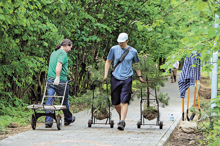 Кожен по — деревубуде ліс. Фото з сайту ic.pics.livejournal