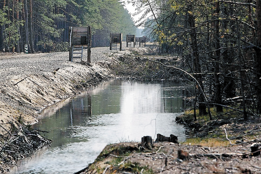 Яке захоплююче полювання: з вишки складно промахнутися. Фото з сайту сomments.ua