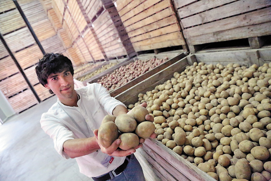 Хороший урожай картоплі видався цього року — у пік сезону продавці тримають адекватну ціну.  Фото Світлани СКРЯБІНОЇ