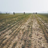 «Тент» від негоди
