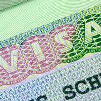 Кількість поданих заяв на отримання шенгенської візи у 2013 році (%)