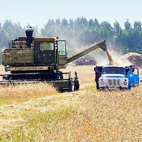 Микола НЕЇЛИК: «Вінницькі аграрії працюють на запланований врожай»