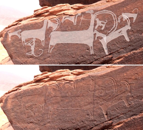 На фото зображено двох гірських козлів - ібексів (у центрі і ліворуч), на яких напали вісім собак. Один з них, на думку вчених, тримається прив'язкою. Третього івекса (праворуч) додали до сцени полювання пізніше. 
