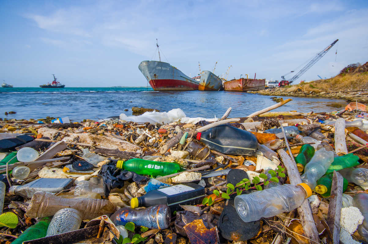 У 2010 році у світовий океан потрапило майже вісім мільйонів тонн пластикового сміття.