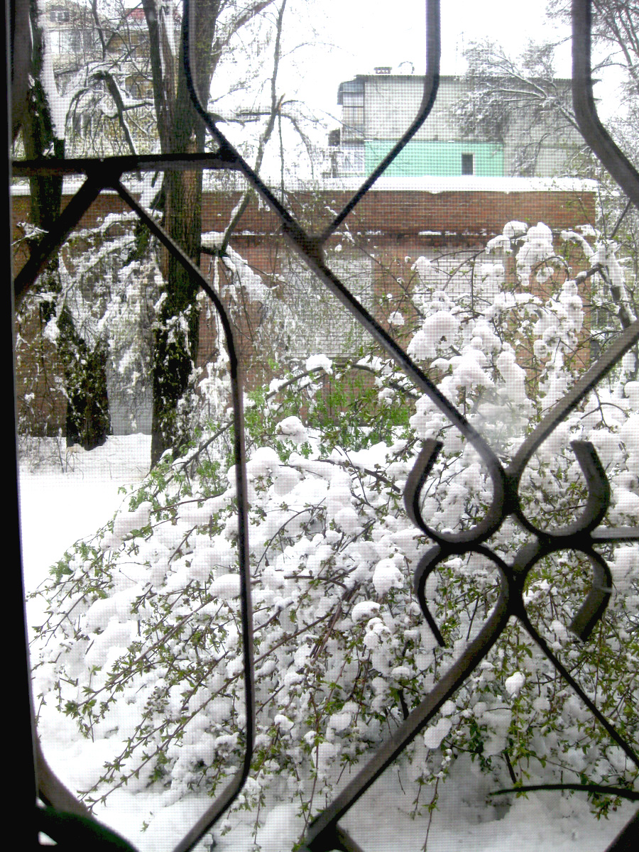 До Дніпра повернулася справжня зима зі снігом. Фото Наталії БІЛОВИЦЬКОЇ