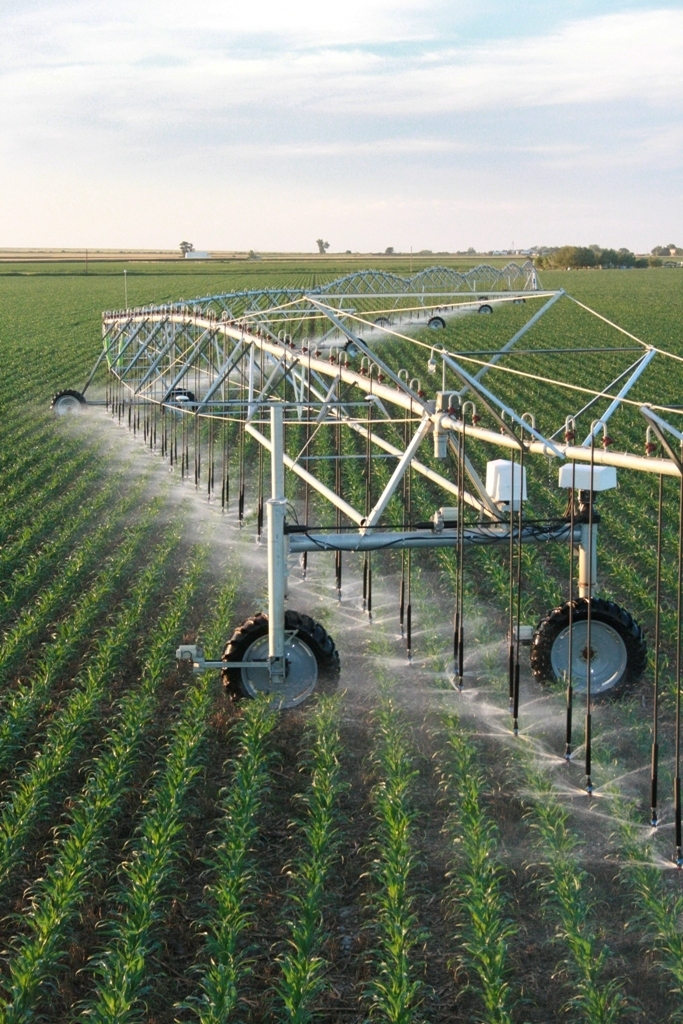 Гідрополив — гарантія високих врожаїв. Фото з сайту grainboard.com