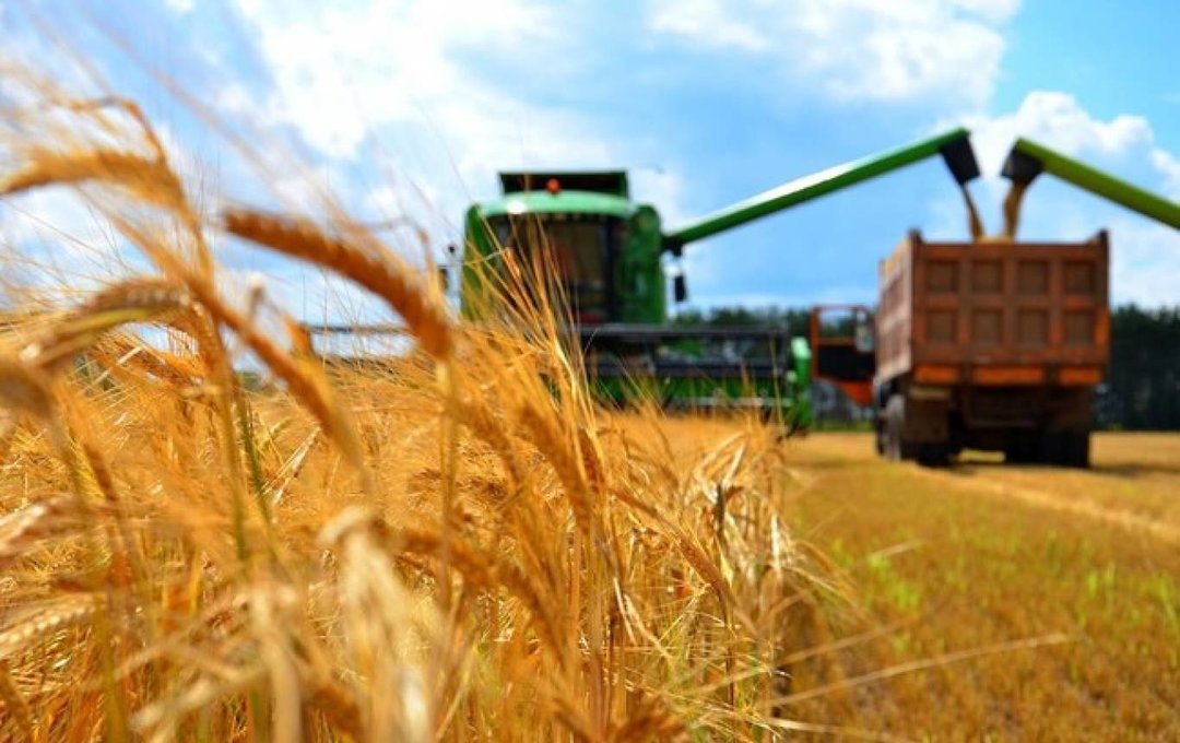 Сільгоспвиробники,  які спеціалізувалися на вирощуванні зернових, розуміють ситуацію і чекають кращих часів. Фото з сайту tax.gov.ua