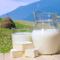 Чи питимемо українське молоко?