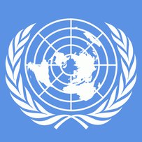 ООН обіцяє цілковиту підтримку реформам