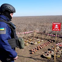 Забруднені території повертають до життя
